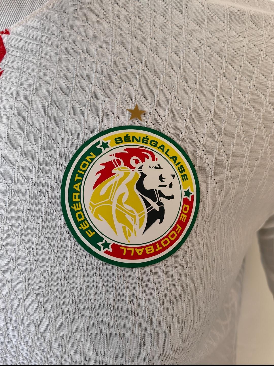 Maillot de l'équipe nationale du Sénégal