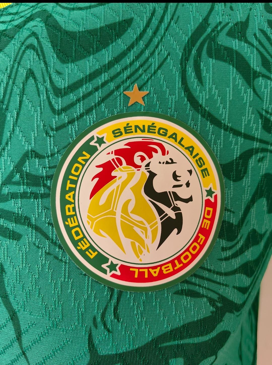Maillot Sénégal 2024/2025